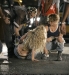 Filename=outrageous_(150).jpg
Filesize=111KB
Dimensions=900x971
Date added=Feb 26, 2009 outrageous_(150).jpg
