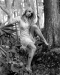 Filename=Mark_Seliger_(20).jpg
Filesize=178KB
Dimensions=1000x1243
Date added=Mar 06, 2009 Mark_Seliger_(20).jpg